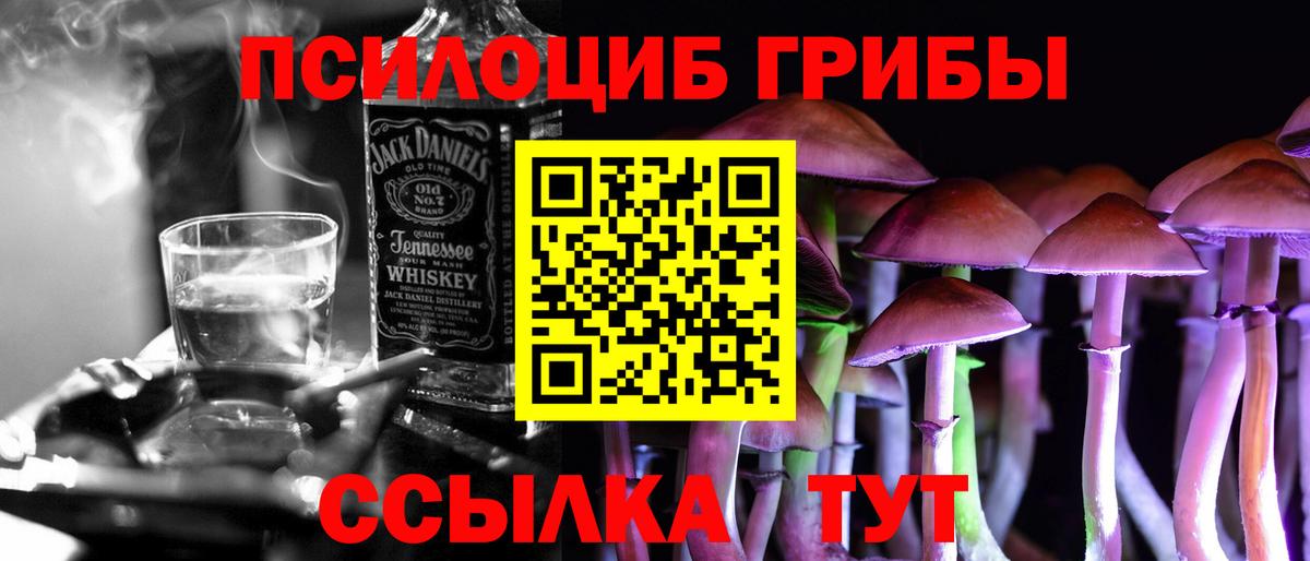 Галлюциногенные грибы Psilocybine cubensis Москва